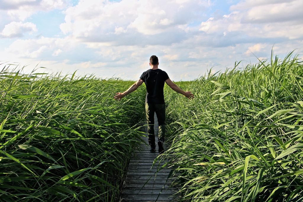 Entpsannung im hohen Gras